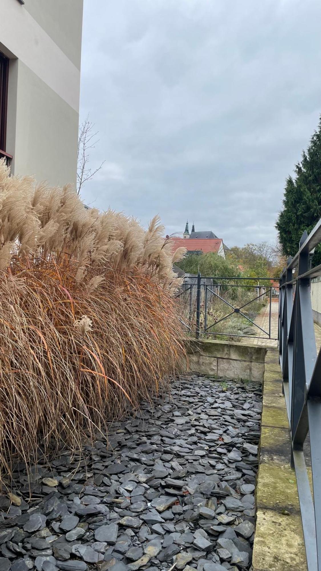 Neu! Oasis - Fewo Am Harz, Hochwertig Kernsaniert, 83 Qm, Eg Nordhausen Eksteriør billede